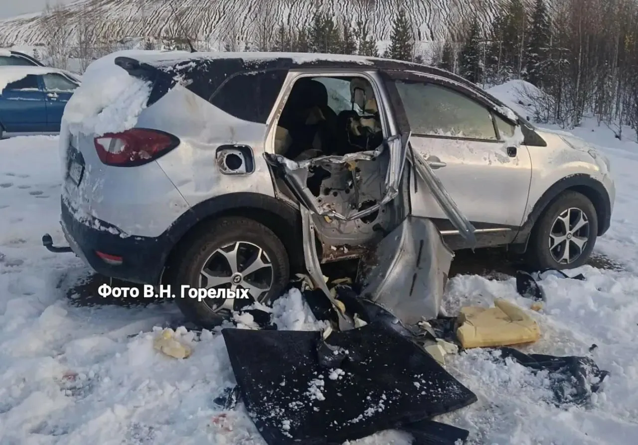 Хищник повредил автомобили на парковке у карьера и уничтожил крупную свинью; охотники ликвидировали зверя.