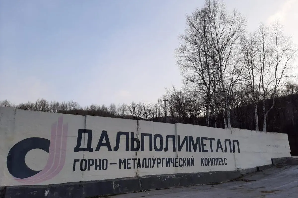 Правительство включило десяток активов в перечень для продажи через госбанк, включая 67% акций «Дальполиметалла» и 50% «Агропромкредита»; продажи запланированы на 2026–2027 годы.
